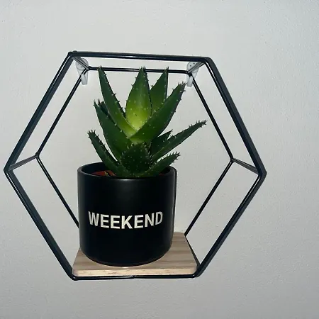 Apartamento Comfort 101 *