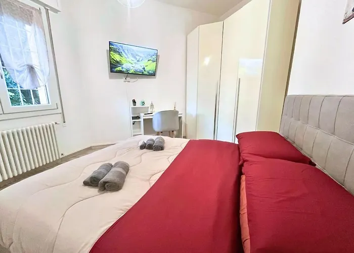 Comfort 101 * Bolonia