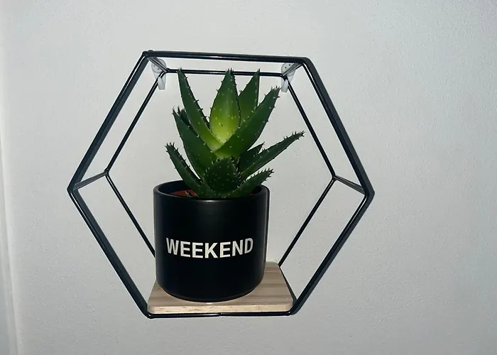 Apartamento Comfort 101 *